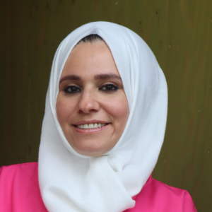 Hiba